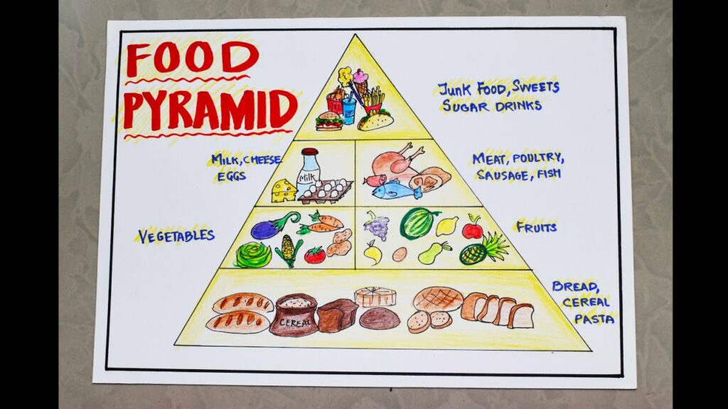 Healthy food pyramid drawing for kids science school project art chart